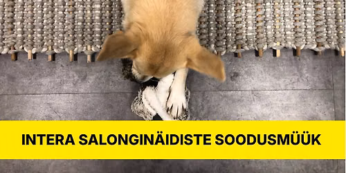 INTERA n\u00e4idiste soodusm\u00fc\u00fck B\u00fcroo- ja Kodusalongis