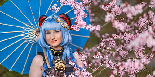 Kirschbl\u00fctenfest