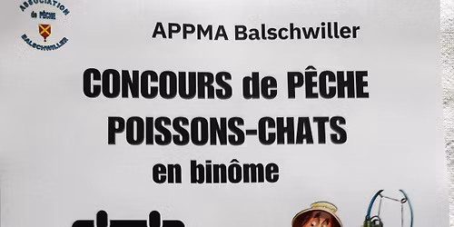 Concours p\u00eache poissons-chats en bin\u00f4me