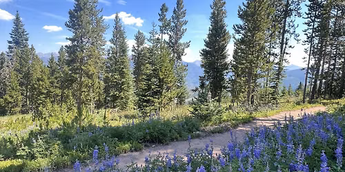 Easy Nature Hike
