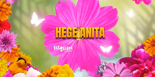 Hege Anita