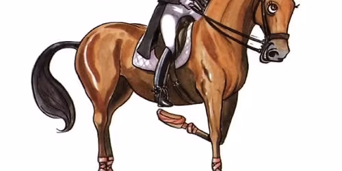 TWRC Dressage and Pole Work Training with Andrew Lovell