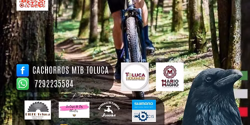 Reto cuervo 2da Edici\u00f3n