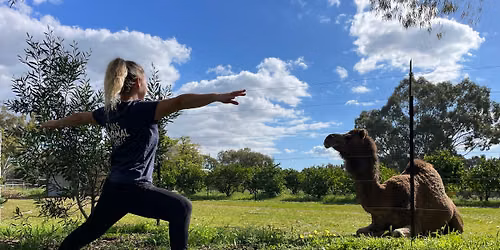 Camel Yoga and Luxury Picnic