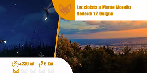 Lucciolata a Monte Morello