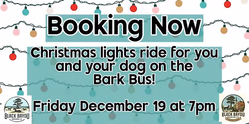 Christmas Lights Tour on the Bark Bus