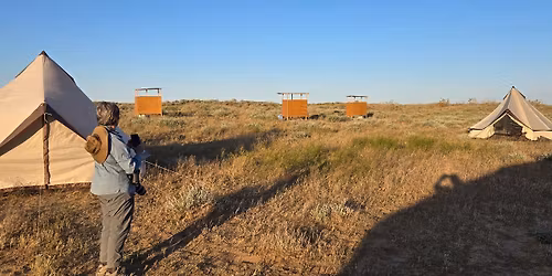 Birding in the steppes of Genghis Khan: Georgia to Kazakhstan