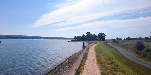 Starcross Shuffle 2025