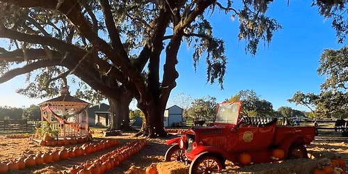 Painted Oaks and Innovation Church Ho-Down