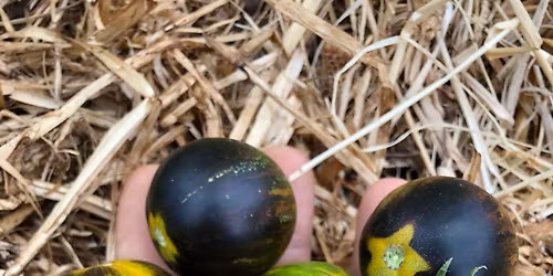 March\u00e9 de Printemps - Bersac sur Rivalier (87)