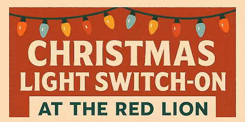 Our Christmas Light Switch On