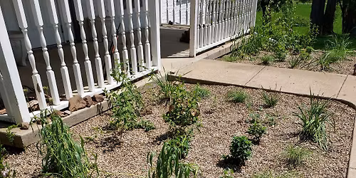 Gravel Gardens 101
