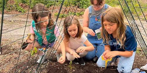 Kids Garden
