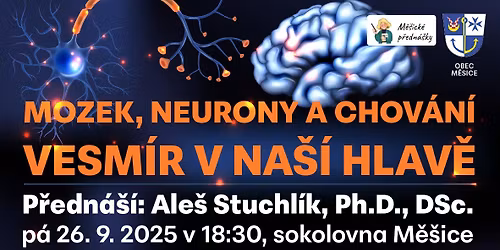 VESM\u00cdR V NA\u0160\u00cd HLAV\u011a