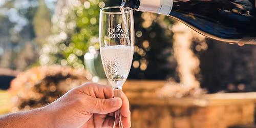 New Year's Eve Celebration