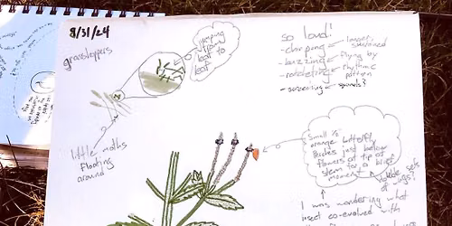 Nature Journal at Lussier Family Heritage Center