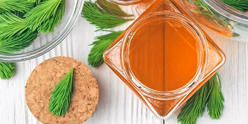 Fall Immunity Building Series: Cough Syrup