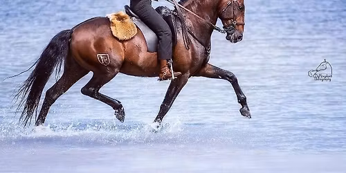 Lehrgang mit Marco Boavista