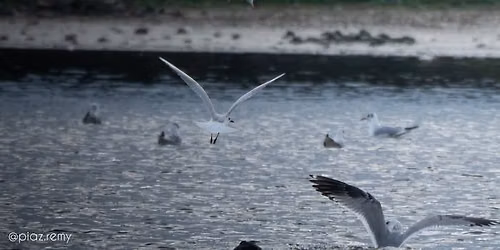 Balade naturaliste : La nature nous offre son plus beau spectacle