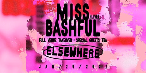 Miss Bashful (Live) Full Venue Takeover