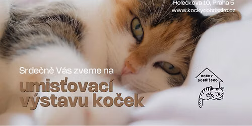 UM\u00cdS\u0164OVAC\u00cd V\u00ddSTAVA KO\u010cEK V GABRIEL LOCI