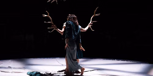 Faune \u2022 Fanny Soriano (artiste associ\u00e9e) | Compagnie Libertivore