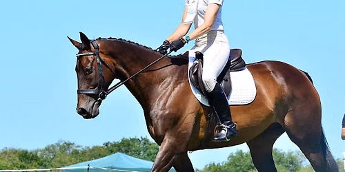 WRC Summer Dressage & SJ (July)