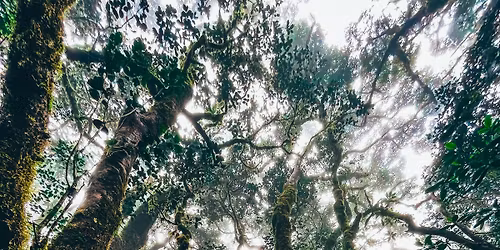 Mt. Napulawan Day Hike