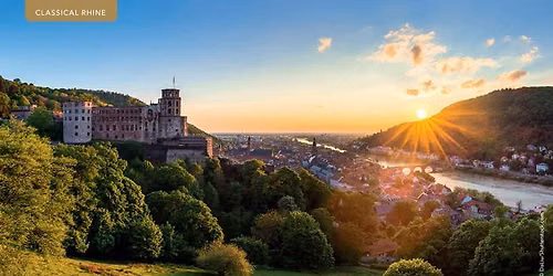 Classic Rhine River Cruise: Amadeus Star