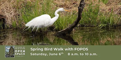 FOPOS Spring Bird Walk with Winnie Hughes Spar \/\/ Saturday, June 6th