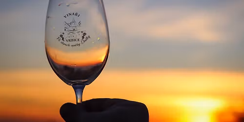 Po stop\u00e1ch opi\u010dky Emilky za mlad\u00fdm vrbeck\u00fdm v\u00ednem