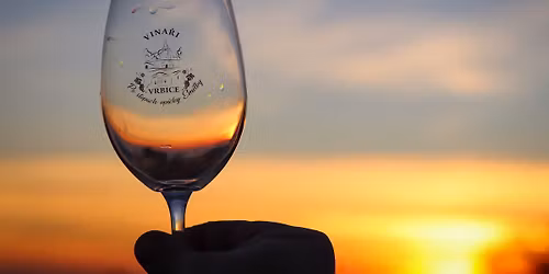 Po stop\u00e1ch opi\u010dky Emilky za mlad\u00fdm vrbeck\u00fdm v\u00ednem