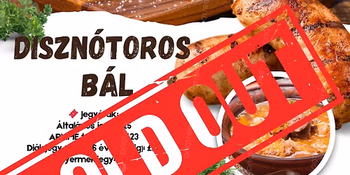 Diszn\u00f3toros b\u00e1l