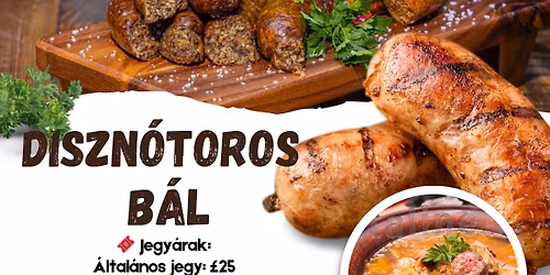 Diszn\u00f3toros b\u00e1l