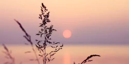 Community for Christian Meditation (in-person)