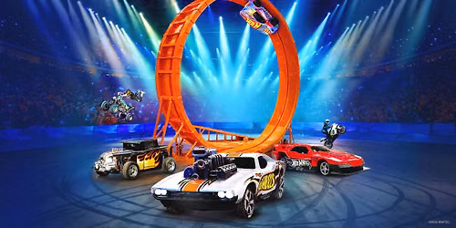 Hot Wheels Stunt Show