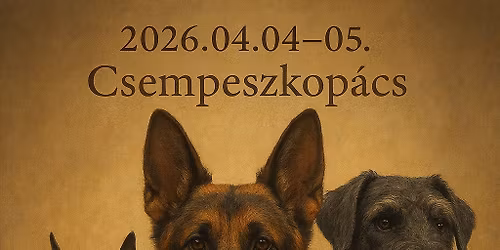 1. FCI \u00e9s FMBB VB v\u00e1logat\u00f3 Csempeszkop\u00e1cs