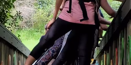 Summer Series Arataki Bush walk