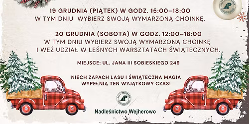 Wybierz swoj\u0105 wymarzon\u0105 choink\u0119