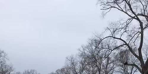 Laying of the Wreaths @ Corinth National Cemetery 