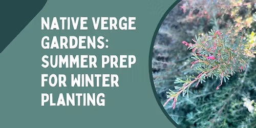 Native Verge Gardens: Summer Prep for Winter Planting