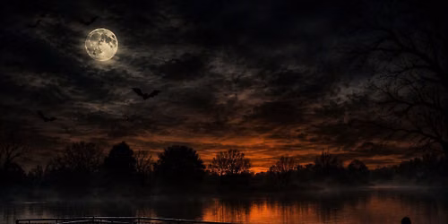 Dinton After Dark 