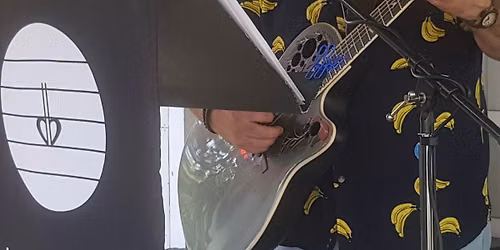 Live Music by DONNY BRANG at The Lemonade Concert and Art Fair at St. Cloud State University 