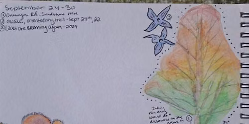 Nature Journaling with Ashley