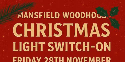 Mansfield Woodhouse christmas light switch on