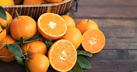 Cooking Experience with Oranges-Short
