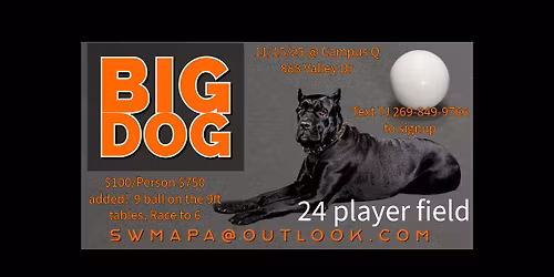 Big Dog 9 Ball 9ft tables 24 players