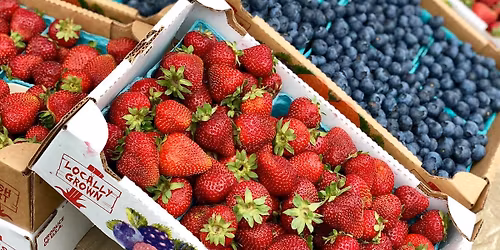 Berry Days!