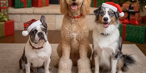 A VERY COZY HOWL-IDAY