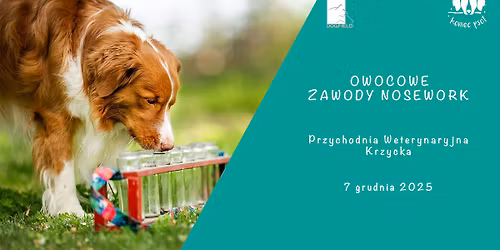 Owocowe zawody nosework - treningowe